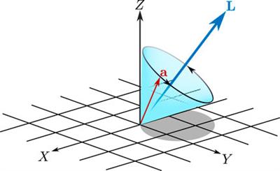 Long-Lasting Orientation of Symmetric-Top Molecules Excited by Two-Color Femtosecond Pulses